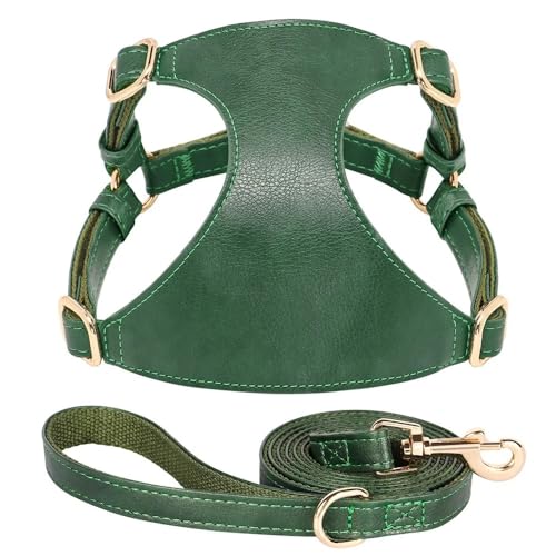 Weiche Und Komfortable PU -Lederverstellbare Hundetraining Geschirr Leine Set Für Schnauzer Yorkshire Terrier Chihuahua Mops,Grün,M Weiche Und Komfortable PU -Lederverstellbare Hundetraining Geschirr Leine Set Für Schnauzer Yorkshire Terrier Chihuahua Mops,Grün,M von HAQEPO