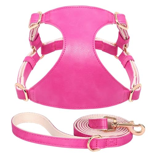 Weiche Und Komfortable PU -Lederverstellbare Hundetraining Geschirr Leine Set Für Schnauzer Yorkshire Terrier Chihuahua Mops,Rose,S Weiche Und Komfortable PU -Lederverstellbare Hundetraining Geschirr Leine Set Für Schnauzer Yorkshire Terrier Chihuahua Mops,Rose,S von HAQEPO