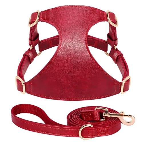 Weiche Und Komfortable PU -Lederverstellbare Hundetraining Geschirr Leine Set Für Schnauzer Yorkshire Terrier Chihuahua Mops,Rot,M Weiche Und Komfortable PU -Lederverstellbare Hundetraining Geschirr Leine Set Für Schnauzer Yorkshire Terrier Chihuahua Mops,Rot,M von HAQEPO