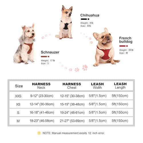 Weiche Und Komfortable PU -Lederverstellbare Hundetraining Geschirr Leine Set Für Schnauzer Yorkshire Terrier Chihuahua Mops,Schwarz,2XS Weiche Und Komfortable PU -Lederverstellbare Hundetraining Geschirr Leine Set Für Schnauzer Yorkshire Terrier Chihuahua Mops,Schwarz,2XS von HAQEPO