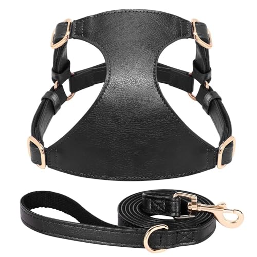 Weiche Und Komfortable PU -Lederverstellbare Hundetraining Geschirr Leine Set Für Schnauzer Yorkshire Terrier Chihuahua Mops,Schwarz,M Weiche Und Komfortable PU -Lederverstellbare Hundetraining Geschirr Leine Set Für Schnauzer Yorkshire Terrier Chihuahua Mops,Schwarz,M von HAQEPO
