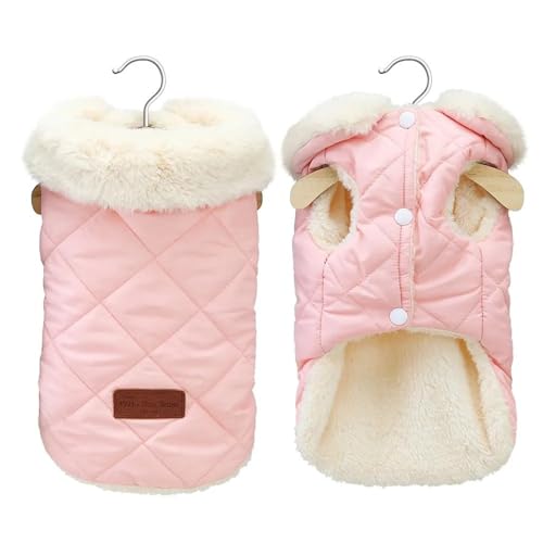 Winter Vlies Warme Haustier -Baumwolljacke Mit Pelzkragen Chihuahua Yorkshire Terrier Shiba Inu Pommerianer Mopsjacke,A,S Winter Vlies Warme Haustier -Baumwolljacke Mit Pelzkragen Chihuahua Yorkshire Terrier Shiba Inu Pommerianer Mopsjacke,A,S von HAQEPO