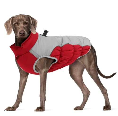 Winter Warmes Bulldog Labrador Deutsch Schäferhund Windhundjacke Im Freien Reflektierend wasserdichte Haustiermantel,Rot,XL von HAQEPO