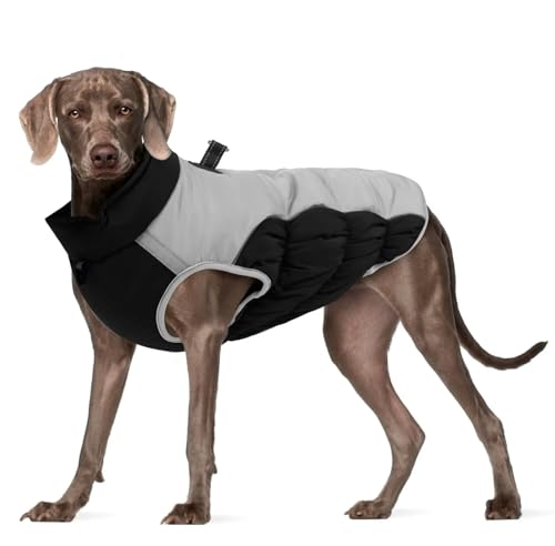 Winter Warmes Bulldog Labrador Deutsch Schäferhund Windhundjacke Im Freien Reflektierend wasserdichte Haustiermantel,Schwarz,5XL Winter Warmes Bulldog Labrador Deutsch Schäferhund Windhundjacke Im Freien Reflektierend wasserdichte Haustiermantel,Schwarz,5XL von HAQEPO