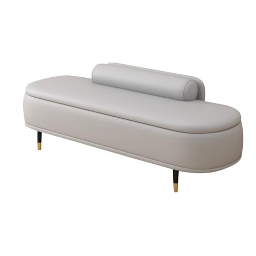 HAQMG Rechteckige Sitzbank mit Stauraum aus Kunstleder, Moderne Sitzbank mit Stauraum und Metallbeinen, gepolsterte Schuhbank for Wohnzimmer, Eingangsbereich, Schlafzimmer(Light Gray,60cm) von HAQMG