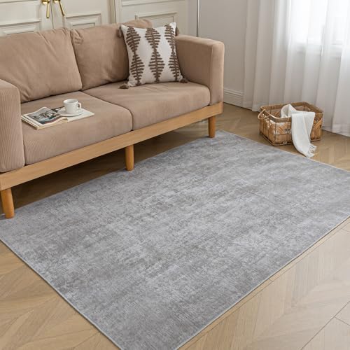 HARESLE Waschbarer Teppich Wohnzimmer Kurzflor-80x120cm, Anti-Rutsch Teppich Schlafzimmer, Weich Grau Teppiche Kinderzimmer, Moderne Wohnzimmerteppich, Küchenteppich, Rechteckiger Bettvorleger(Grau) von HARESLE