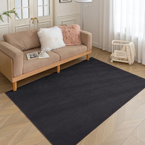 HARESLE Kurzflor Teppich Schwarz-60x120cm, Waschbar Teppich Wohnzimmer, rutschfest Teppiche Schlafzimmer, Dünn Wohnzimmerteppich, Chenille Weich Teppiche für Kinderzimmer Bettvorleger Küche(Schwarz) von HARESLE