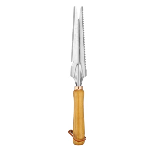 HARFINGTON 2 Stück Handjäter 13,4 x 7 Edelstahl Gartenkelle mit langem Griff, Silber HARFINGTON 2 Stück Handjäter 13,4 x 7 Edelstahl Gartenkelle mit langem Griff, Silber von HARFINGTON