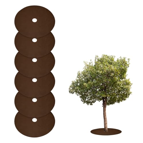 HARFINGTON 6 Stück Baummulchring 61 cm Vlies Rund Baumschutz Unkrautsperre Matte Pflanzenabdeckung Ringe für Unkrautgrasbekämpfung Wurzelschutz, Braun HARFINGTON 6 Stück Baummulchring 61 cm Vlies Rund Baumschutz Unkrautsperre Matte Pflanzenabdeckung Ringe für Unkrautgrasbekämpfung Wurzelschutz, Braun von HARFINGTON