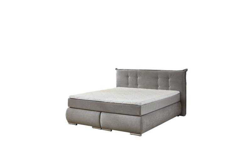 HARPER Boxspringbett Boxspringbett HARPER SOWA (LF 180x200 cm) LF 180x200 cm grau von HARPER
