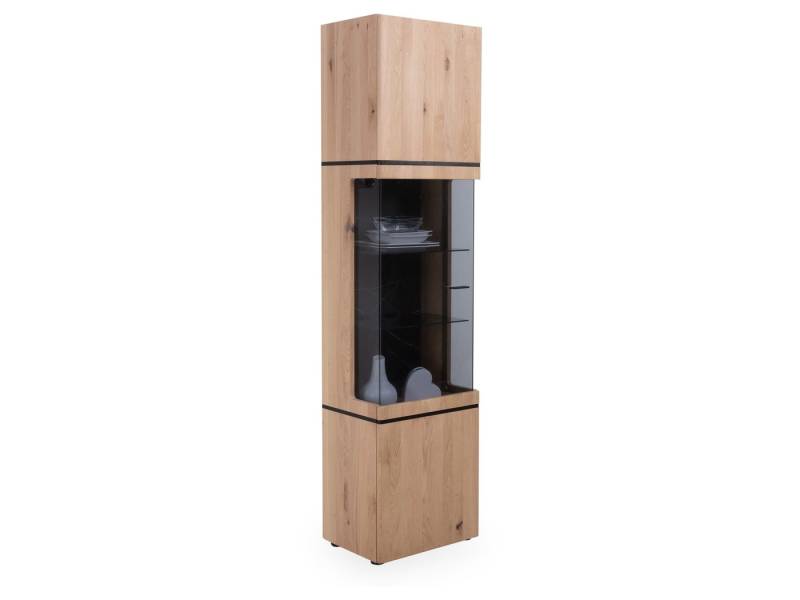 HARPER Vitrine Vitrine HARPER WORKSOP BHT 50x201x37 cm braun Glasschrank von HARPER