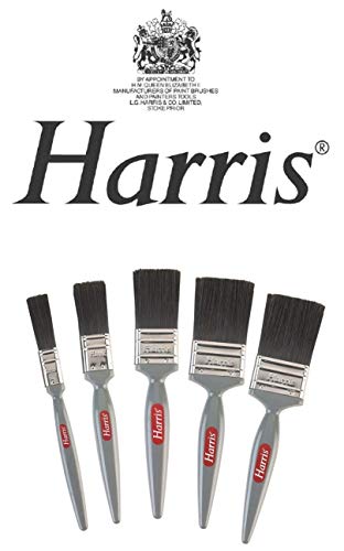 Harris – Malerpinsel-Set, 5 Stück, glänzend von HARRIS