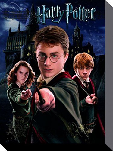 Harry Potter 1art1 Poster Harry Ron Hermine Bilder Leinwand-Bild Auf Keilrahmen | XXL-Wandbild Poster Kunstdruck Als Leinwandbild 80x60 cm von Harry Potter