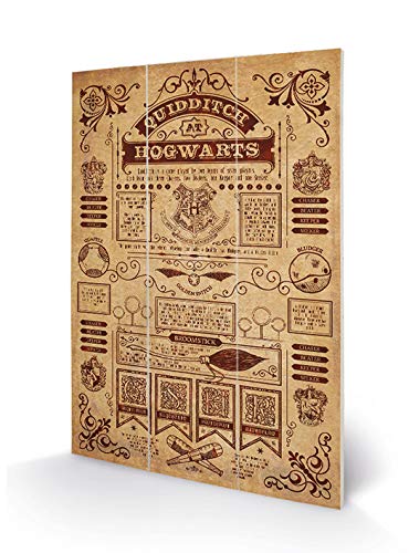 HARRY POTTER MW12493P Kunstdruck auf Holz, 29,5 x 20 cm (Quidditch), MDF, mehrfarbig, 5 x 20 x 1,2 cm von Harry Potter
