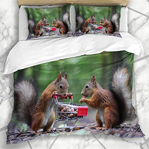 HARXISE Bettwäsche - Bettwäscheset Flaumige Paar-Eichhörnchen Essen Nuss-kleines Warenkorb-Natur-Lebensmittel-Park-wildes hölzernes Design Mikrofaser weich dreiteilig135*200 von HARXISE