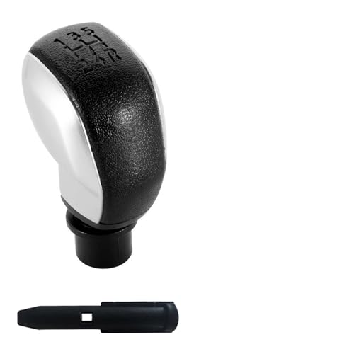 HASGTFM 5-Gang-Auto-Schaltknauf, passend for Peugeot 307 206 207 406 5008 3008, for Citroen C2 C3 C4 Sega Triumph Senna Elysee Picasso(Matt Silver) von HASGTFM