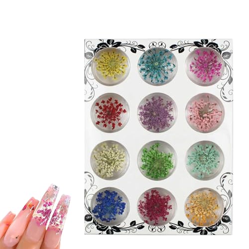 HASLED 12 Farben Trockenblumen für Nageldesign - Echte Getrocknete Blüten in Transparenter Box - Für Nail Art, Schmuck & DIY-Projekte (12 Stück) von HASLED