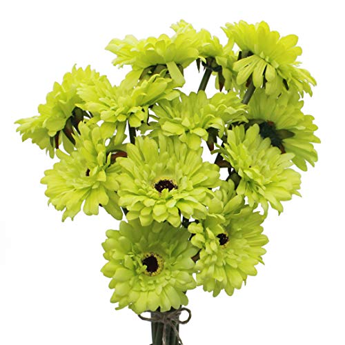 HASWITDA 12 Stück künstliche Gerbera Blume Einzelstiel Blüte Blumenstrauß Kunststoff Seide gefälschte dekorative Flora Outdoor Indoor Home Garden Office Hotel Hochzeit Party Grün von HASWITDA