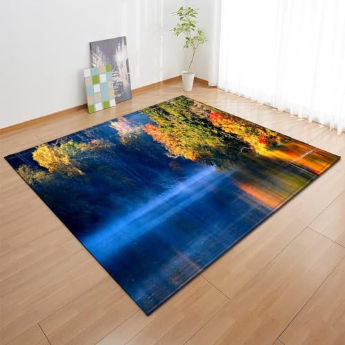 HATEGE Teppich Wohnzimmer 100 x 150 cm Waschbar Seeblick, Outdoor Teppiche Kurzflor 3D Wald, Carpet Flauschig Seeblick 1482AZ von HATEGE