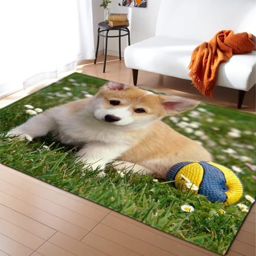 HATEGE Teppich Wohnzimmer 100 x 150 cm Waschbar Süßer Hund, Outdoor Teppiche Kurzflor 3D Garten, Carpet Flauschig Süßer Hund 775AZ von HATEGE