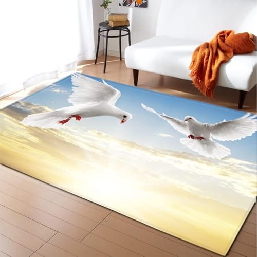 HATEGE Teppich Wohnzimmer 100 x 150 cm Waschbar Taube, Outdoor Teppiche Kurzflor 3D Fliegende Vögel, Carpet Flauschig Taube 1559AZ von HATEGE