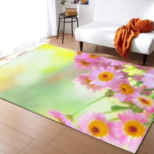 HATEGE Teppich Wohnzimmer 140 x 200 cm Waschbar Pinke Blumen, Outdoor Teppiche Kurzflor 3D Mädchen, Carpet Flauschig Pinke Blumen 2254AZ von HATEGE