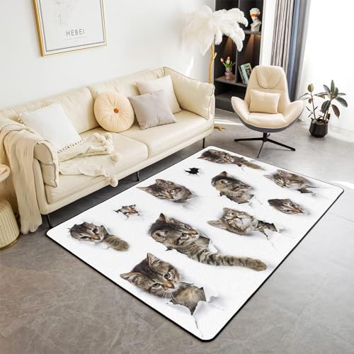 HATEGE Teppich Wohnzimmer 60 x 100 cm Waschbar Graue Katze, Outdoor Teppiche Kurzflor 3D Interessant Carpet Flauschig Graue Katze Rug Schlafzimmer DT1332 von HATEGE