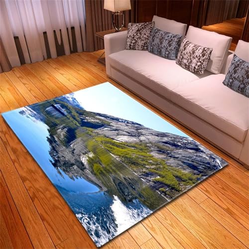 HATEGE Teppich Wohnzimmer 80 x 160 cm Waschbar Seeblick, Outdoor Teppiche Kurzflor 3D Berg, Carpet Flauschig Seeblick 718AZ von HATEGE