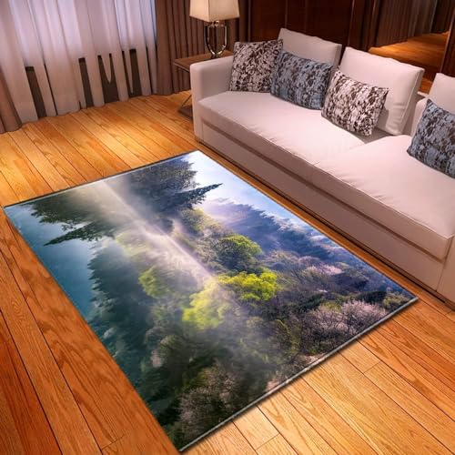 HATEGE Teppich Wohnzimmer 80 x 160 cm Waschbar Seeblick, Outdoor Teppiche Kurzflor 3D Natürliche Landschaft, Carpet Flauschig Seeblick 1894AZ von HATEGE