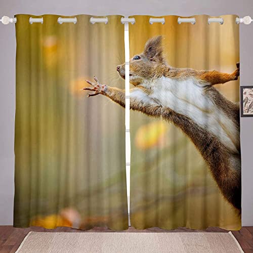 Vorhang Blickdicht Niedliches Eichhörnchen Gardinen mit Ösen 3D Dschungel-Tiere Blickdichte Vorhänge Thermovorhang Kälteschutz Verdunklungsvorhänge für Wohnzimmer Schlafzimmer 2er Set 117x138 cm(BxH) Vorhang Blickdicht Niedliches Eichhörnchen Gardinen mit Ösen 3D Dschungel-Tiere Blickdichte Vorhänge Thermovorhang Kälteschutz Verdunklungsvorhänge für Wohnzimmer Schlafzimmer 2er Set 117x138 cm(BxH) von HATEGE