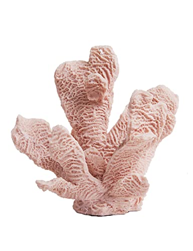 HAUCOZE Koralle Skulptur Figuren Ozean Dekor Geschenk Modern Arts Statue Wohnzimmer Kunst Polyresin Ornament 22cm von HAUCOZE