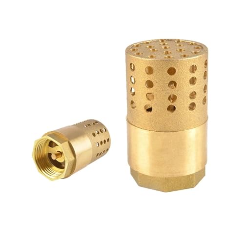 1 Stück Messing-Rückschlagventil, Sieb, Filter, Fußventil for Wasserpumpe – 3/4 Zoll, 1 Zoll, 1-1/4 Zoll, 1-1/2 Zoll BSP-Innengewinde(1-1/2") von HAUJGG