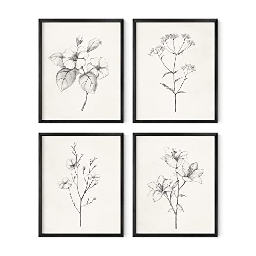 HAUS AND HUES Botanische Pflanze Wandkunstdrucke – Set mit 4 Pflanzen-Wanddekor-Drucken, florale Küchenpflanzenbilder, Boho-Blatt-Eukalyptus-Wanddekoration (antike Blumenzeichnungen, 8x10 ungerahmt) von HAUS AND HUES