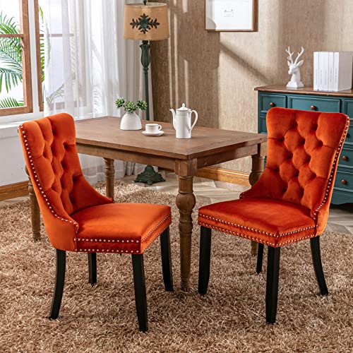 HAUSPROFI Esszimmerstühle 2er Set, Sessel Esszimmer mit Samtbezug, Holzbeinen, Nagelkopfverzierung für Küche, Wohnzimmer, Schlafzimmer (Orange) von HAUSPROFI