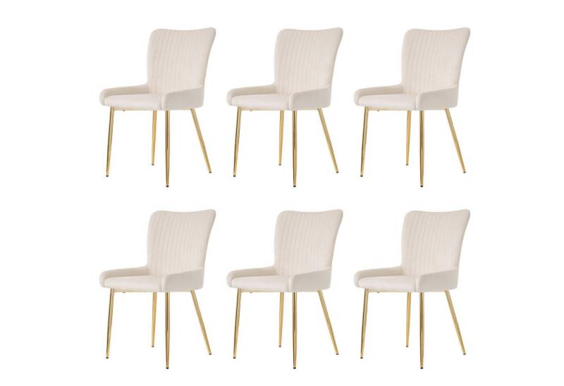 HAUSS SPOLE Esszimmerstuhl Polsterstuhl Relaxsessel mit verstellbare Metallbeine, Samtbezug (Wohnzimmer,4-Fußstuhl,Polsterstuhl, 6 St), Loungesessel im Wohn- oder Schlafzimmer von HAUSS SPOLE