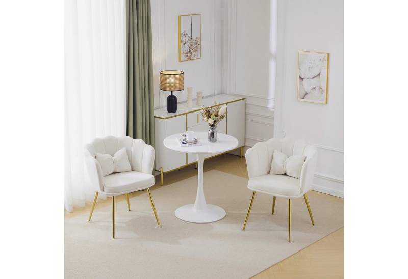 HAUSS SPOLE Esszimmerstuhl Polsterstuhl Relaxsessel mit Dekokissen, Metallbeinen Gold, Samt (Freizeitsessel mit Kissen,Sessel,Ohrensessel,Armlehnstuhl, 2 St), für Wohnzimmer, Schlafzimmer, Büro, Wartezimmer. von HAUSS SPOLE