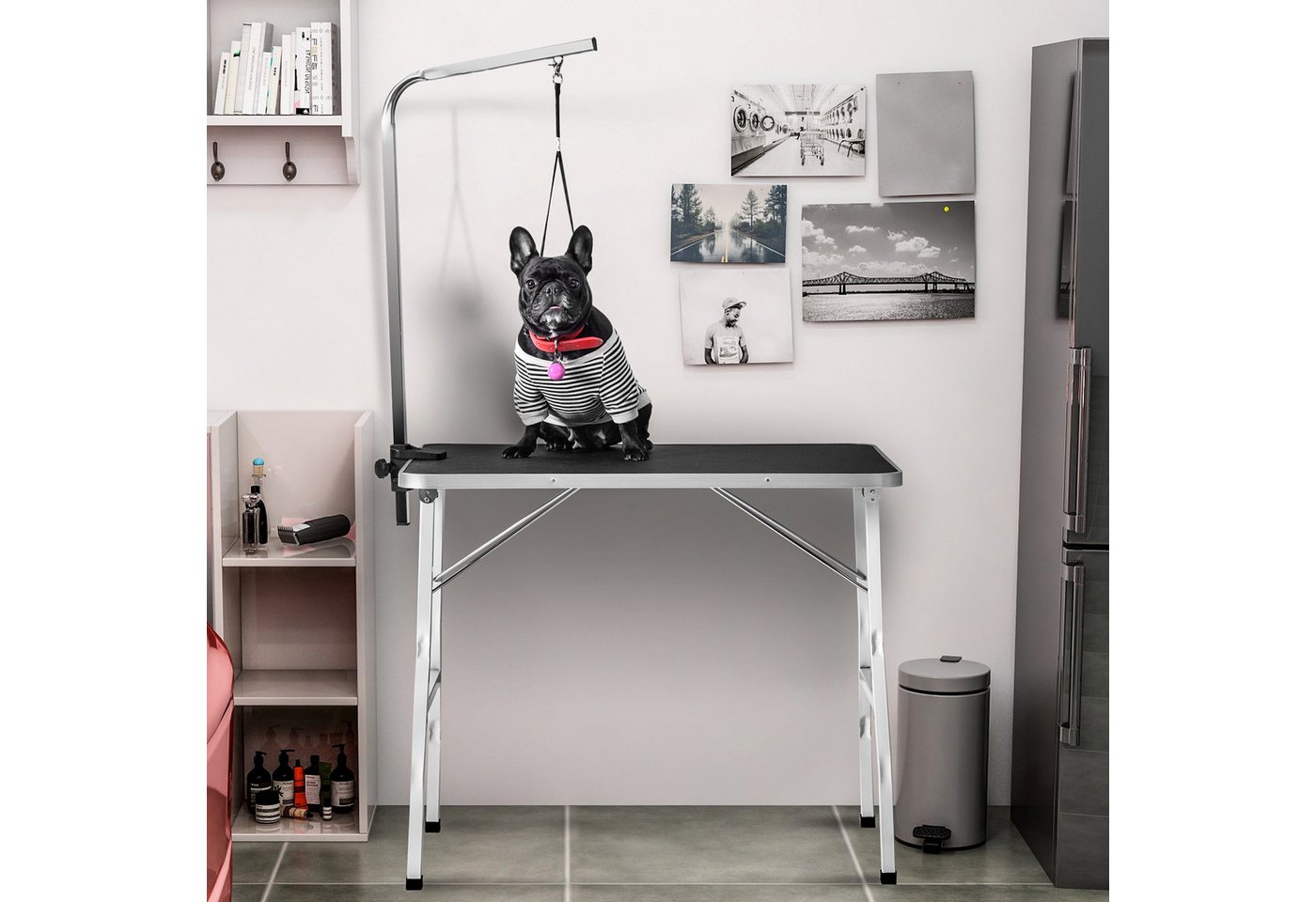 HAUSS SPOLE Arbeitstisch Hundepflegetisch mit Leine verstellbarer Haustierpflegetisch HAUSS SPOLE Arbeitstisch Hundepflegetisch mit Leine verstellbarer Haustierpflegetisch von HAUSS SPOLE