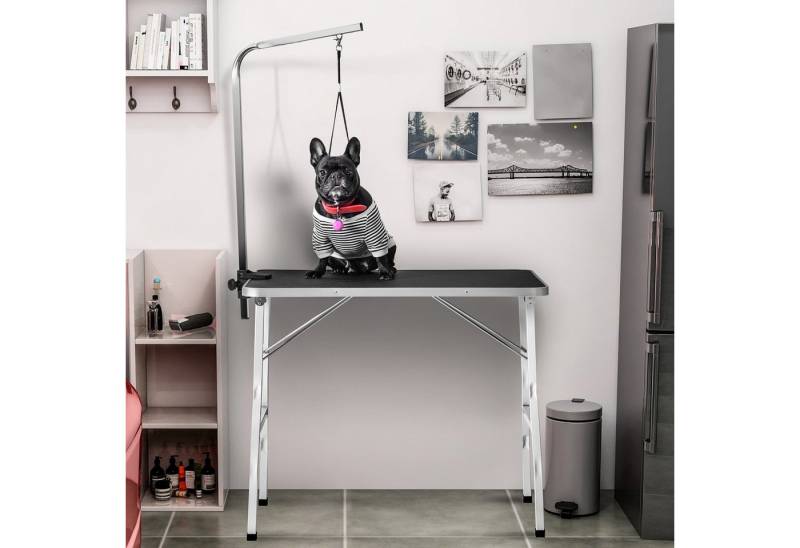 HAUSS SPOLE Arbeitstisch Hundepflegetisch mit Leine verstellbarer Haustierpflegetisch von HAUSS SPOLE