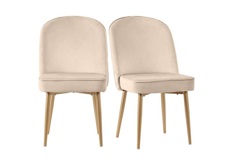 HAUSS SPOLE Esszimmerstuhl 2er Set mit goldenen Metallbeine für Esszimmer, Wohnzimmer Samt beige (Polsterstühle, Wohnzimmerstuhl, Küchenstuhl, 2 St), Rutschfestes Fußdesign, Ergonomisches Design von HAUSS SPOLE