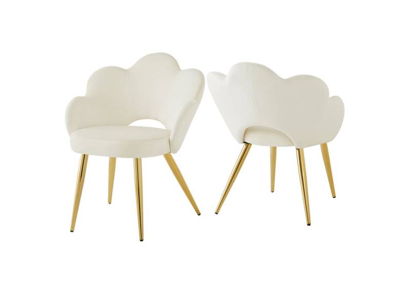 HAUSS SPOLE Esszimmerstuhl 2er ergonomischer Stuhl aus Veloursstoff, goldene Eisenbeine, Beige (2 St), modernes Design von HAUSS SPOLE