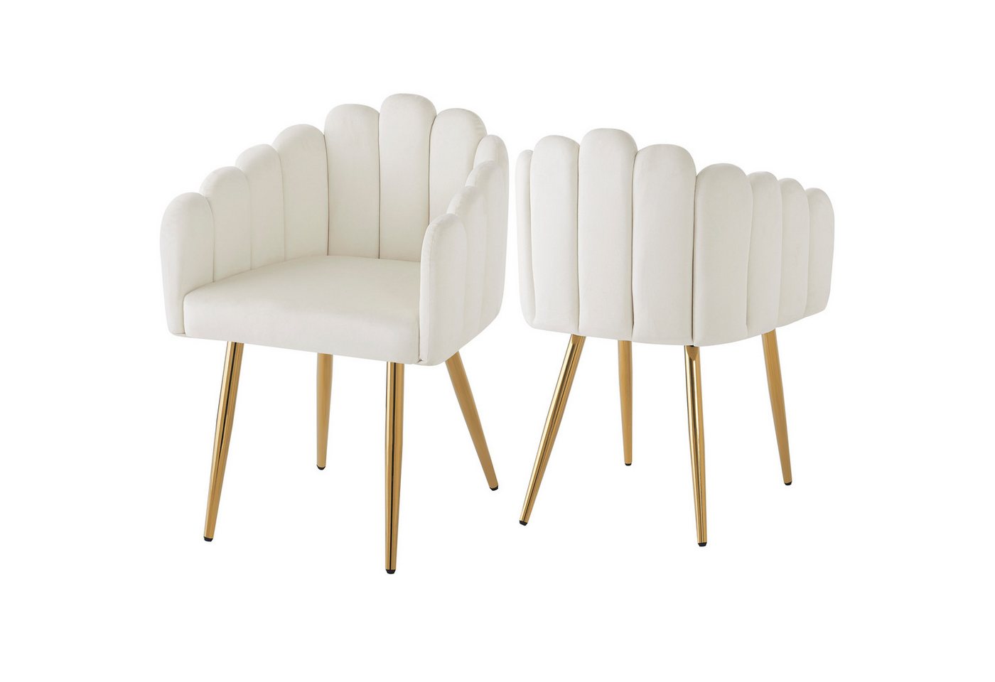 HAUSS SPOLE Esszimmerstuhl 2er fächerförmiger Stuhl aus Veloursstoff, goldene Eisenbeine, Beige (2 St), modernes Design von HAUSS SPOLE