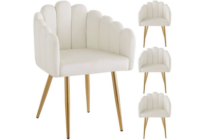 HAUSS SPOLE Esszimmerstuhl 4er fächerförmiger Stuhl aus Veloursstoff, goldene Eisenbeine, Beige (4 St), modernes Design von HAUSS SPOLE