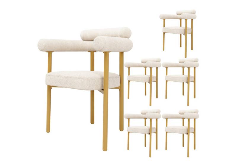HAUSS SPOLE Esszimmerstuhl 6er Set bequeme Ringsitze für Esszimmer, Wohnzimmer, Samt Beige (6er-Set luxuriöse Esszimmerstühle mit ergonomischer Rückenlehne, weichem Wildlederbezug & stabilen goldfarbenen Metallbeinen – ideal für Esszimmer, Wohnzimmer & Büro, 6 St) HAUSS SPOLE Esszimmerstuhl 6er Set bequeme Ringsitze für Esszimmer, Wohnzimmer, Samt Beige (6er-Set luxuriöse Esszimmerstühle mit ergonomischer Rückenlehne, weichem Wildlederbezug & stabilen goldfarbenen Metallbeinen – ideal für Esszimmer, Wohnzimmer & Büro, 6 St) von HAUSS SPOLE