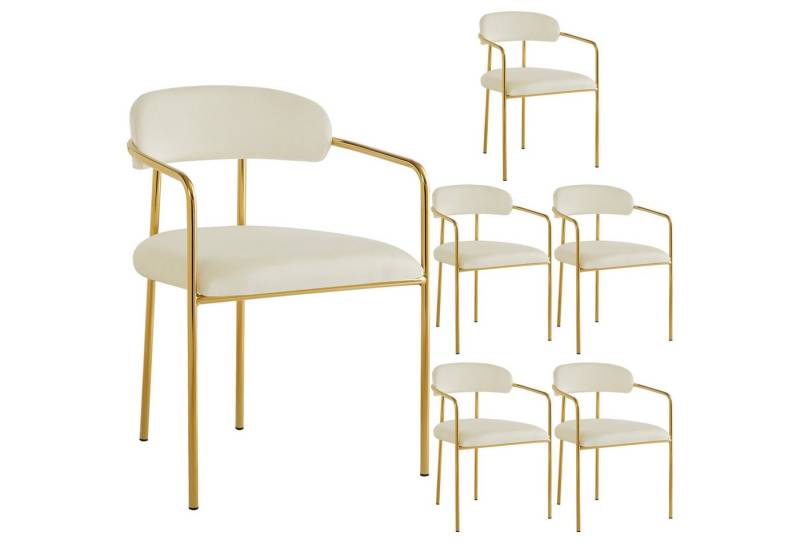 HAUSS SPOLE Esszimmerstuhl 6er ergonomischer Schminkstuhl aus Samt mit Eisenbeine, Beige (6 St) von HAUSS SPOLE
