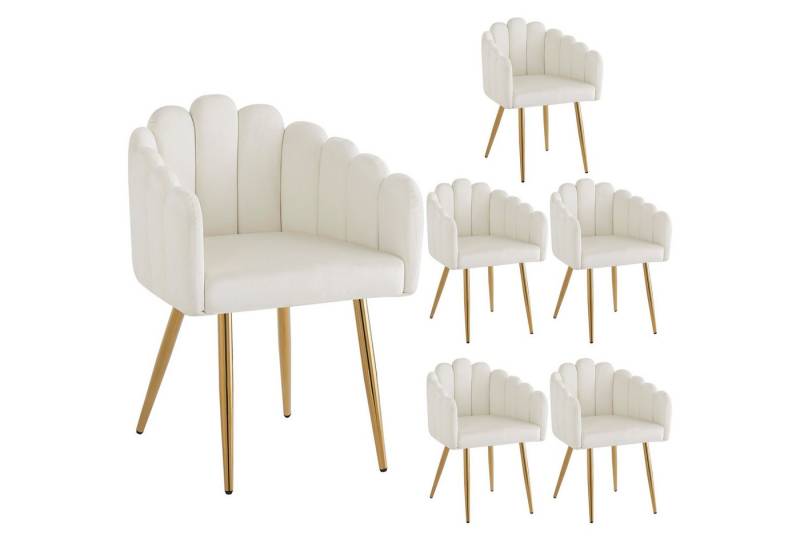 HAUSS SPOLE Esszimmerstuhl 6er fächerförmiger Stuhl aus Veloursstoff, goldene Eisenbeine, Beige (6 St), modernes Design von HAUSS SPOLE