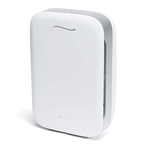 HAVERLAND AIRPURE19 IONISEUR Luftreiniger | bis zu 80 m² | 1 Vorfilter + 2 Filter | True HEPA | Lufterfrischer | entfernt Polluants und Allergene | 5 Stufen | Messgerät Reinheit der Luft von HAVERLAND