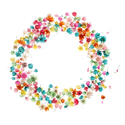 HAWILLOSCH 1tasche DIY Trockenblumen Für Epoxidharz Bunte Kleine Sterne Für Bastelprojekte Kerzenherstellung Scrapbooking Und Handyhüllen Dekoration Für Kreative Bastler von HAWILLOSCH