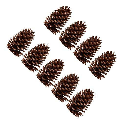 HAWILLOSCH 9 Stück Teiliges Zapfen aus Echten Getrockneten Kiefernzapfen für Weihnachtsdekoration und DIY Projekte Rustikaler Charme für Wohnraumgestaltung HAWILLOSCH 9 Stück Teiliges Zapfen aus Echten Getrockneten Kiefernzapfen für Weihnachtsdekoration und DIY Projekte Rustikaler Charme für Wohnraumgestaltung von HAWILLOSCH