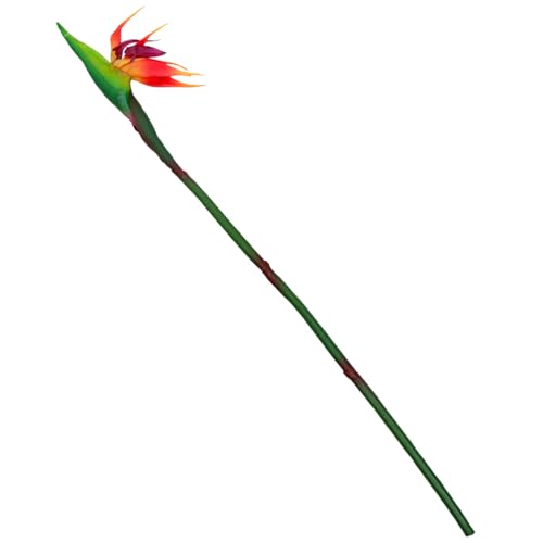 HAWILLOSCH Künstliche Strelitzia Reginae Blume mit Flexiblem Stiel Realistische Deko für Vase und Hochzeit Farbecht Künstlicher Blumenstrauß für Innenbereich Balkon Tischdekoration HAWILLOSCH Künstliche Strelitzia Reginae Blume mit Flexiblem Stiel Realistische Deko für Vase und Hochzeit Farbecht Künstlicher Blumenstrauß für Innenbereich Balkon Tischdekoration von HAWILLOSCH