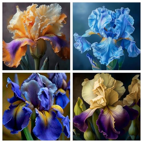 Iris/Schwertlilie/Iris pflanze/Iris knollen mix-mehrjährig winterhart,Herbstblumenzwiebeln pflanzen-C-15 zwiebeln Iris/Schwertlilie/Iris pflanze/Iris knollen mix-mehrjährig winterhart,Herbstblumenzwiebeln pflanzen-C-15 zwiebeln von HAWRKJLC